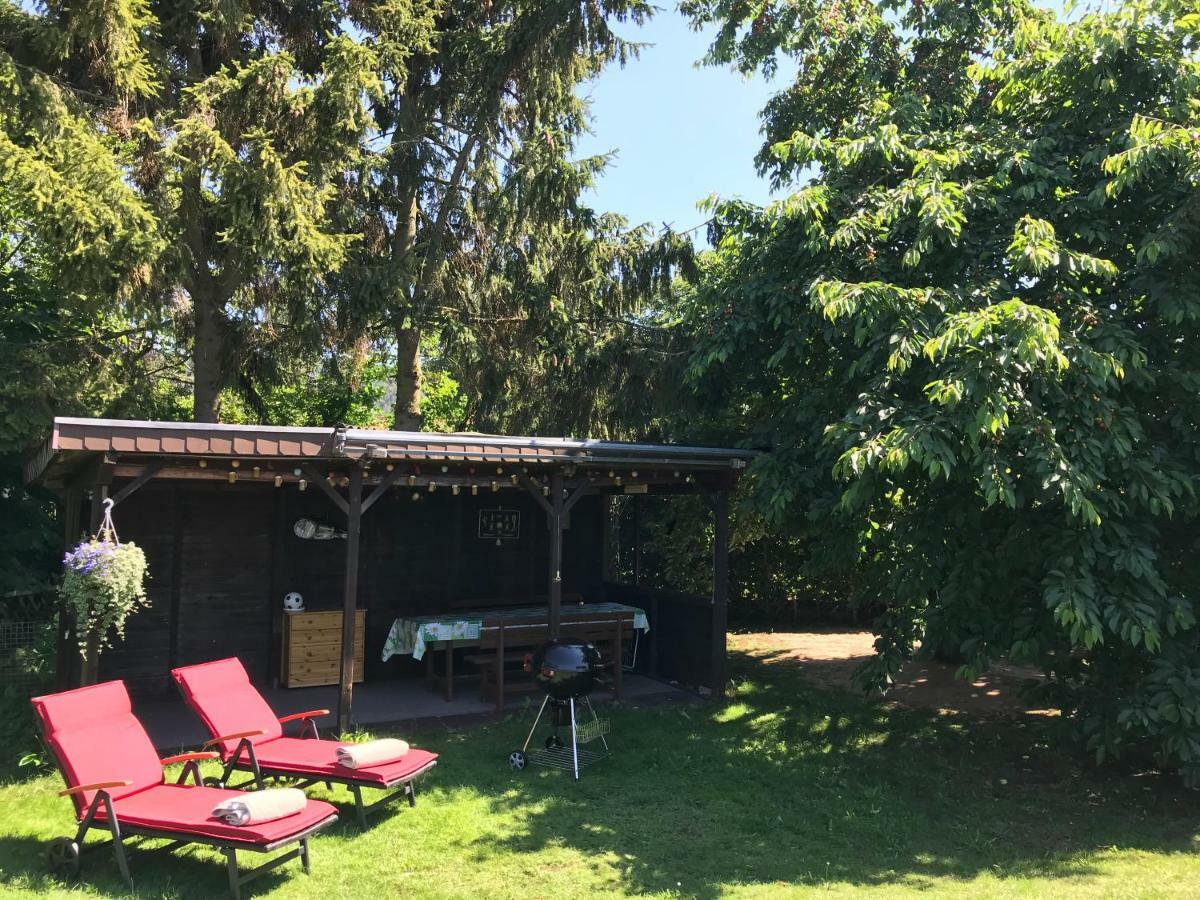 Lili'S Bungalow Auf Der Halbinsel Scheid Вальдек Экстерьер фото